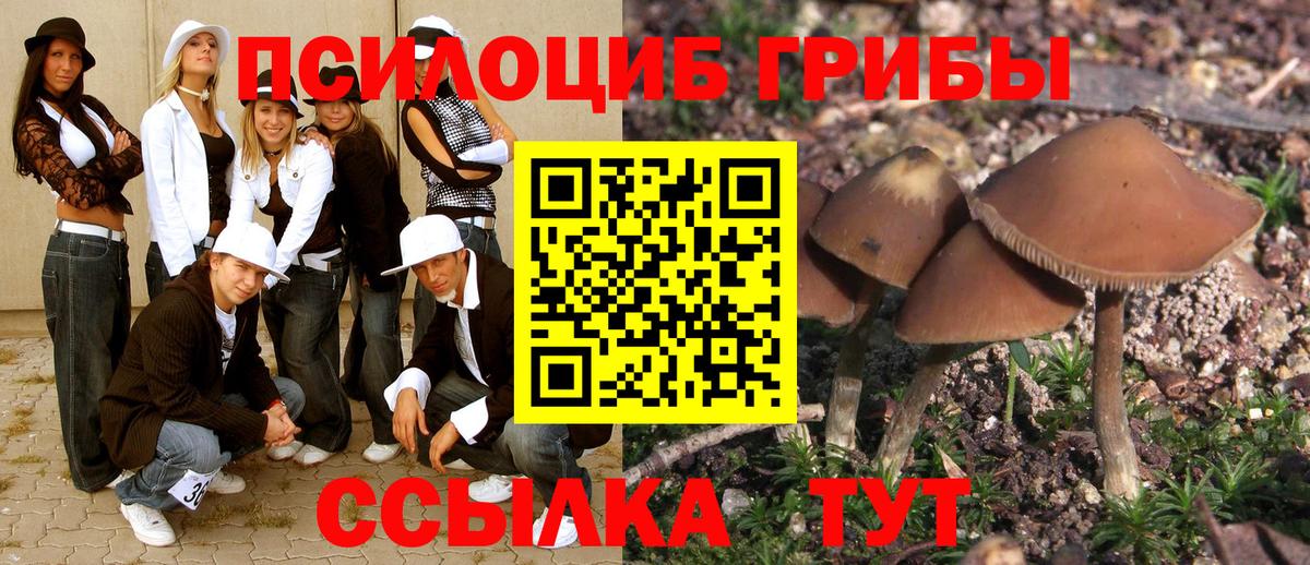 Псилоцибиновые грибы MAGIC MUSHROOMS  Галлюциногенные грибы Cubensis  Арсеньев  Вход с VPN 