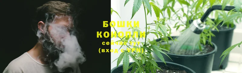 наркота  Арсеньев  Конопля LSD WEED 